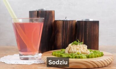 Sodziu: Unpacking the Meaning, Culture, and Uses of a Lithuanian Term