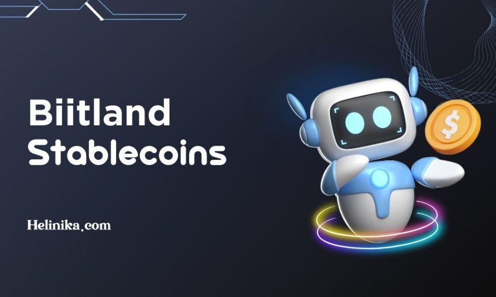 Understanding biitland.com Stablecoins Today