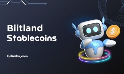 Understanding biitland.com Stablecoins Today